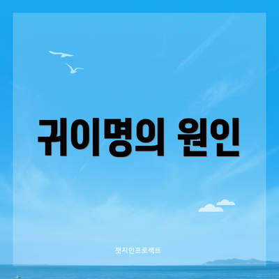 귀이명의 원인