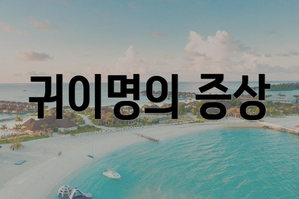 귀이명의 증상