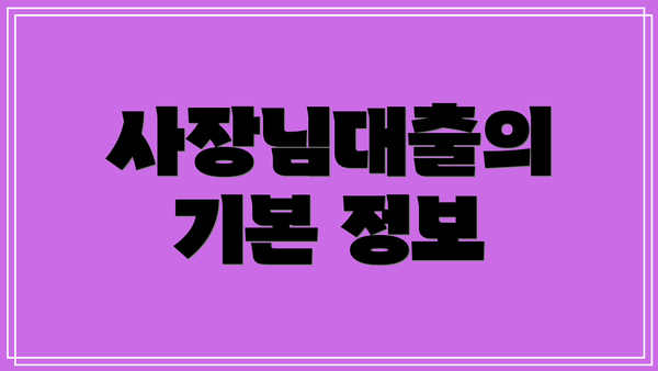 사장님대출의 기본 정보