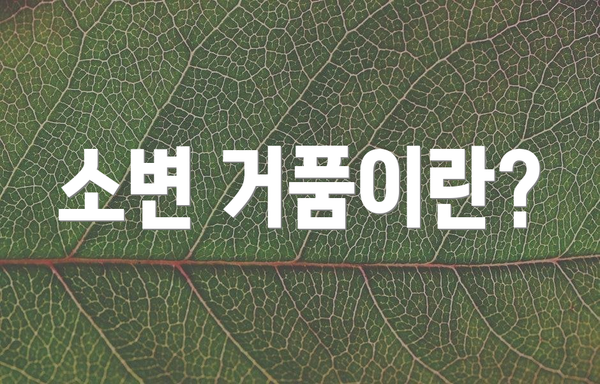 소변 거품이란?
