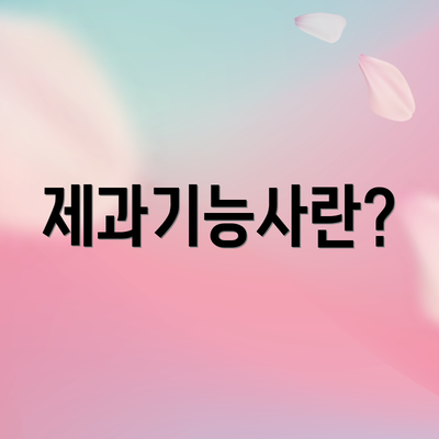 제과기능사란?