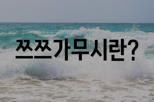 쯔쯔가무시란?