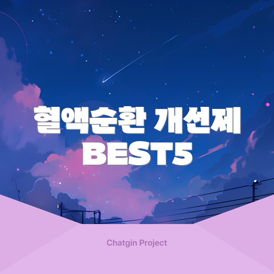 혈액순환 개선제 BEST5