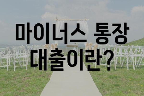 마이너스 통장 대출이란?