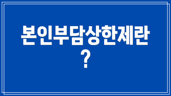 본인부담상한제란?