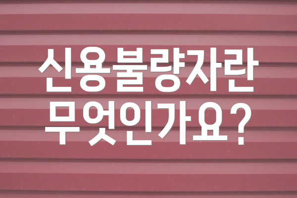 신용불량자란 무엇인가요?