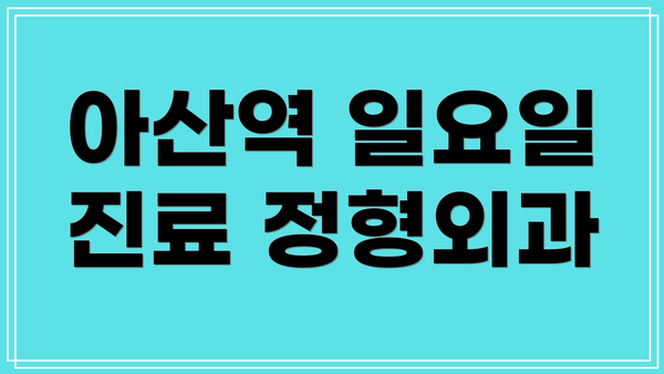 아산역 일요일 진료 정형외과