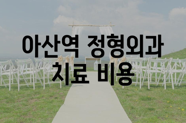 아산역 정형외과 치료 비용