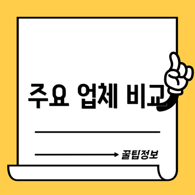 주요 업체 비교