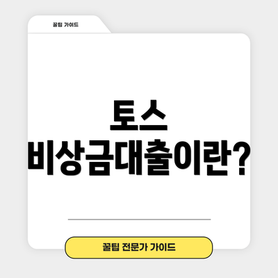 토스 비상금대출이란?