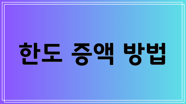 한도 증액 방법