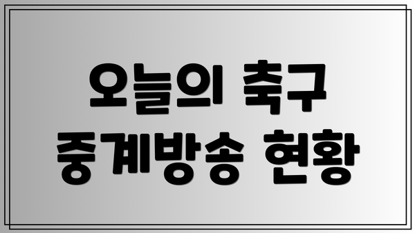 오늘의 축구 중계방송 현황